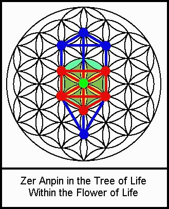 Zer Anpin in the Tree of Life within the Seed of Life