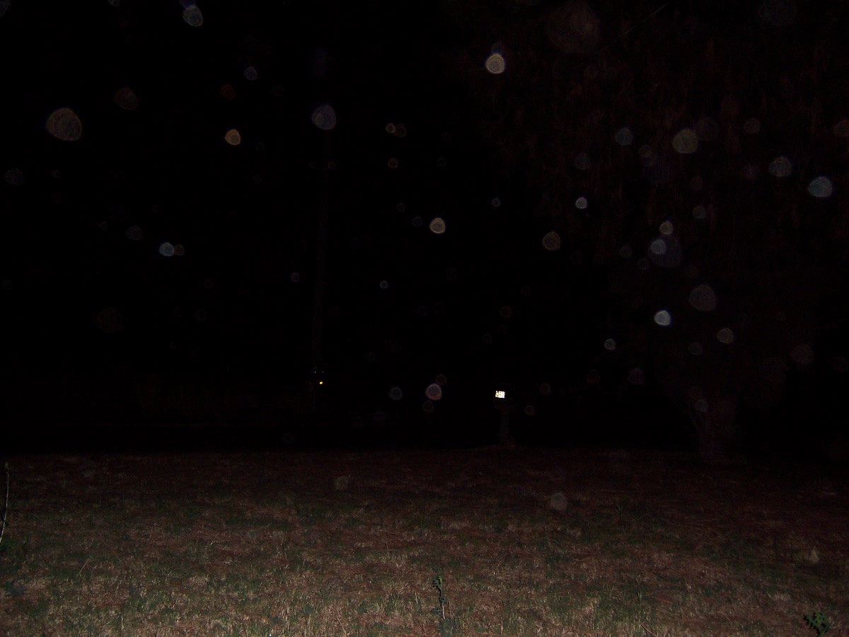 ORBS OF LIGHT