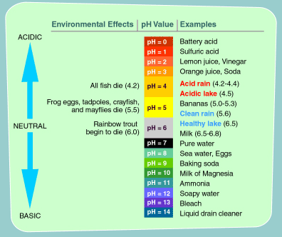 PH SCALE