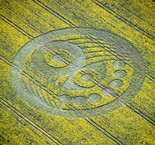 old sarum crop  circle 2010