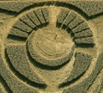 12 Rays - close up of Crown on the 2013 triangular crop circle formation