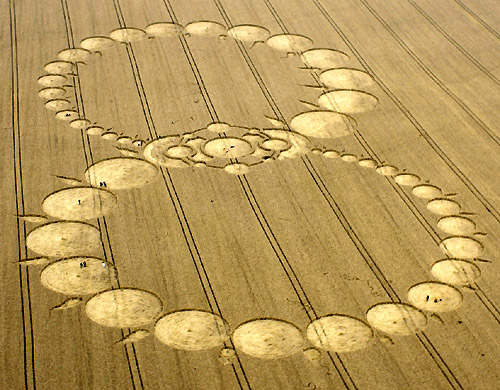 crop circle 8