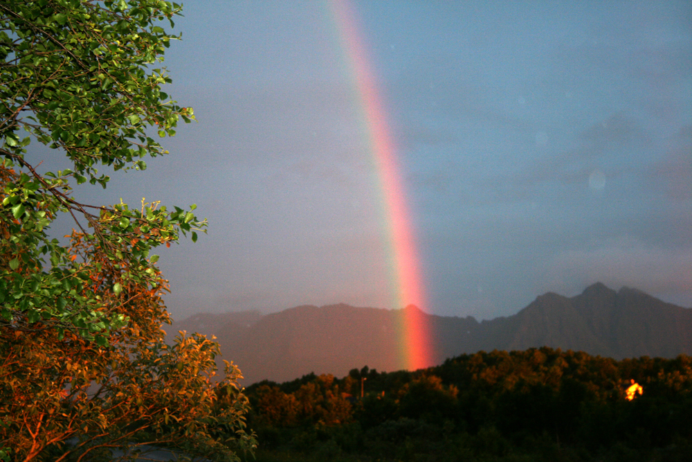 midnight rainbow