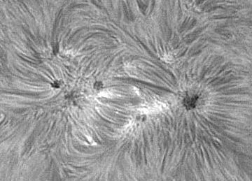 sunspot 1076