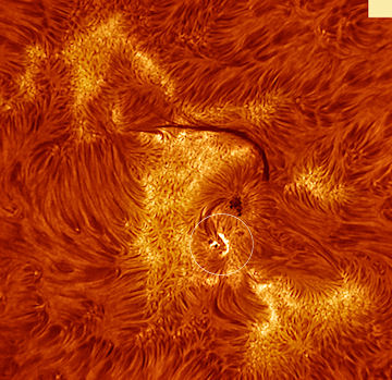 sunspot 1087