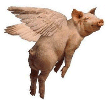 flying-pig.gif